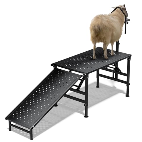 Professional Goat Milking Stand with Ramp 600LBS Heavy Duty Foldable Livestock Trimming Platform Metal Grooming Stand with Adjustable Headpiece & Stainless Steel Feeder for Nubian & Dwarf Goats