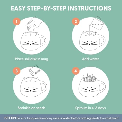 The Cat Ladies Organic Cat Grass for Indoor Cats - Growing Kit with Organic Seed Mix, Soil and Black Cat Planter. Natural Hairball Control and Digestion Remedy, Cat Gifts