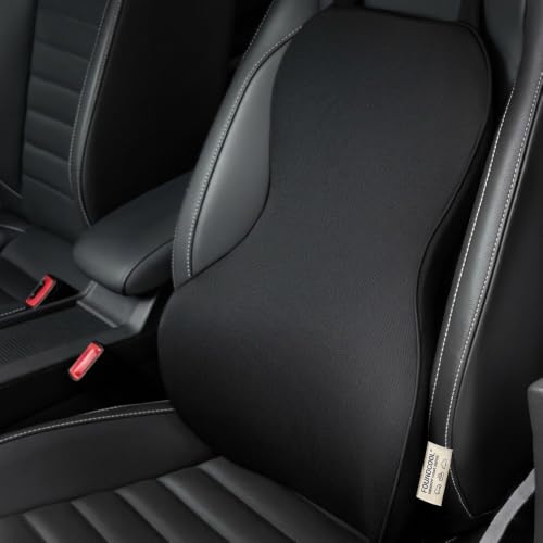 FOUNDCOOL Coussin Lombaire Voiture, Soutien Dos Ergonomique Conducteur