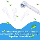Zoom IMG-2 fororeh portaspazzolino elettrico con 4 Zoom IMG-2 fororeh portaspazzolino elettrico con 4