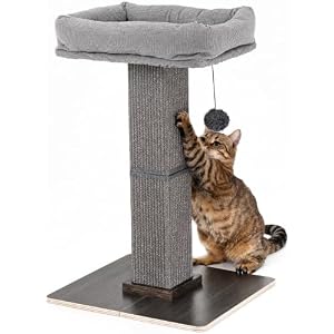FUKUMARU Cat Scratching Post, Modern Style Tall Scratch Posts with Perch for Indoor Cats Adults, Large Cat Scratcher Tower with Bed, Small Tree with Raised Stand, Natural Sisal & Solid Wood
