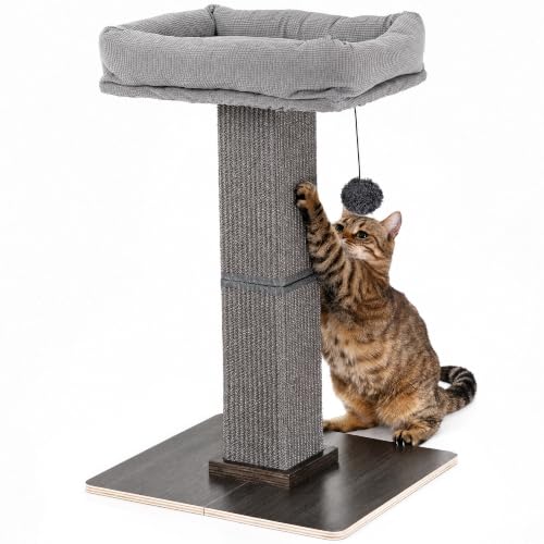 FUKUMARU Cat Scratching Post, Modern Style Tall Scratch Posts with Perch for Indoor Cats Adults, Large Cat Scratcher Tower with Bed, Small Tree with Raised Stand, Natural Sisal & Solid Wood