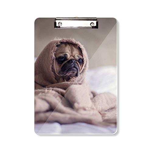 Porte-bloc A4 bouledogue solitaire pour ranger vos documents de bureau