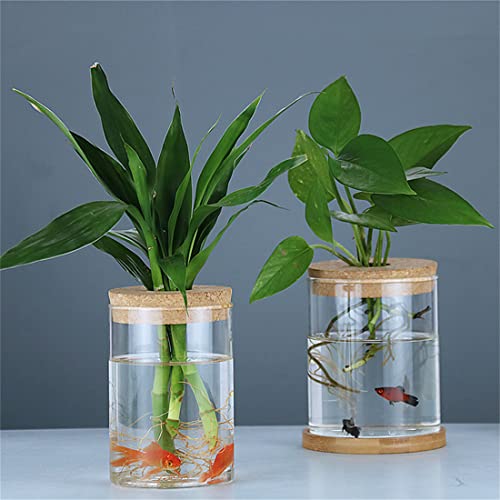 Cnyejqjc BNSD Glass Planter Vase With Wooden Lid And Bamboo Stand thumb #5