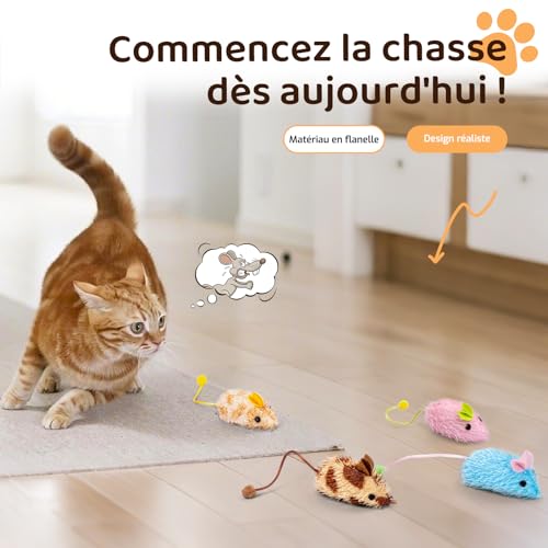 Jouets pour Chat, Paquet de 14 Jouets Chat interactifs, y Compris Une Balle pour Chat, Jouet à Ressort pour Chaton Adulte d'intérieur, Jouets à Herbe à Chat pour Chats à mâcher et Nettoyer Les Dents – Image 5