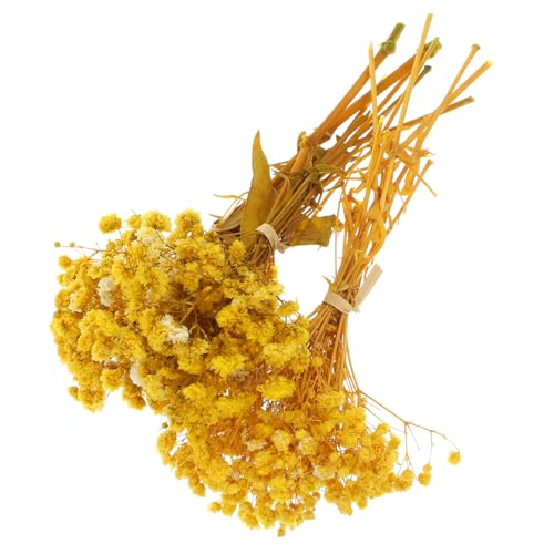 Ramo de Flores Secas Gypsophila Amarillas, 3 Atados miniatura 1