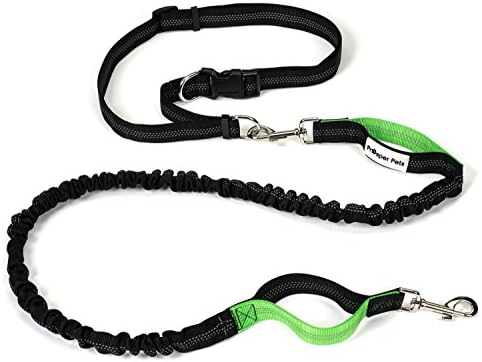 Prosper Pets Hands Free Dog Leash - Dual Handle Running Leash – Shock Absorbing, Extendible Bungee – Adjustable Waist Belt – for Running, Jogging or Walking