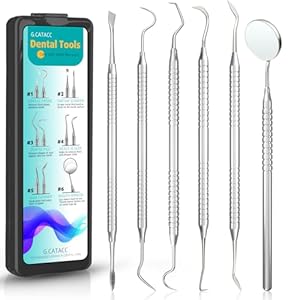 Dental Tools, Dental Pick for Teeth Cleaning, Stainless Steel Hygiene Kit with Tooth Scraper Plaque Tartar Remover – with Case