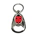 GRAPHICS & MORE Lady Bug - Insect Ladybug - Chrome Plated Metal Spinning Oval Design Bottle Opener Keychain Key Ring