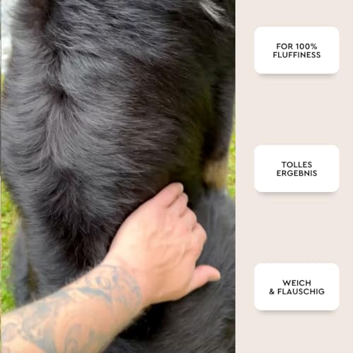 heybruno Hundeshampoo, Schaum, 200 ml, für fluffiges & weiches Fell, dermatologisch getestet