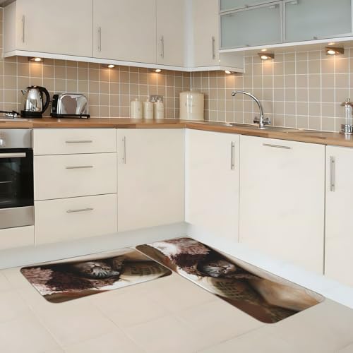 Tapetes de cocina de gato EdWal ideales para decorar la lavandería y proteger el suelo 3