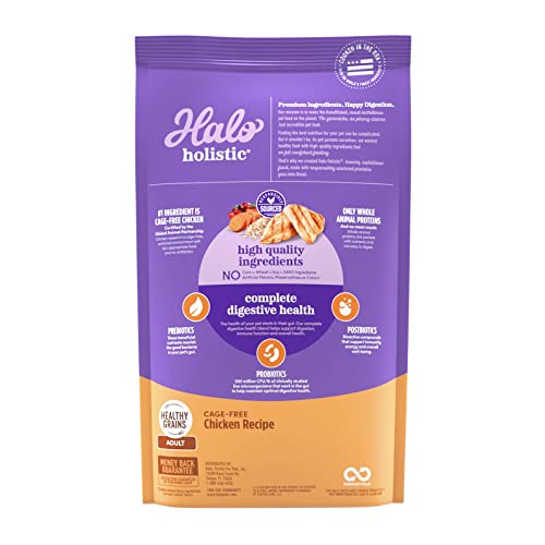 Halo Holistic Cat Food Dry, Cage-Free Chicken Recipe, Complete Digestive Health, Dry Cat Food Bag, Adult Formula, 6-Lb Bag #TOP2