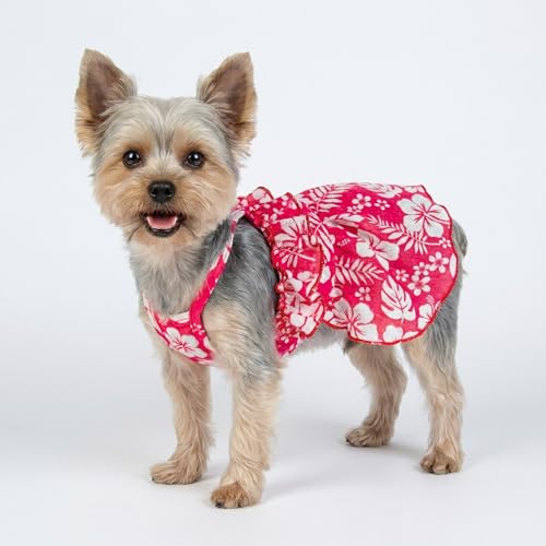 Robe pour chien de petite taille légère contre la chaleur de l'été - 5