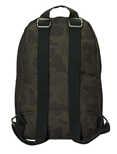 https://m.media-amazon.com/images/I/41aTavYXofL._SL500_.jpg
