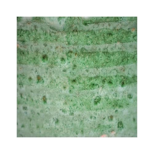 Ivyline Textured Glaze Plant Pot 18cm Dia, Emerald, 20 x 20 cm - Image 4
