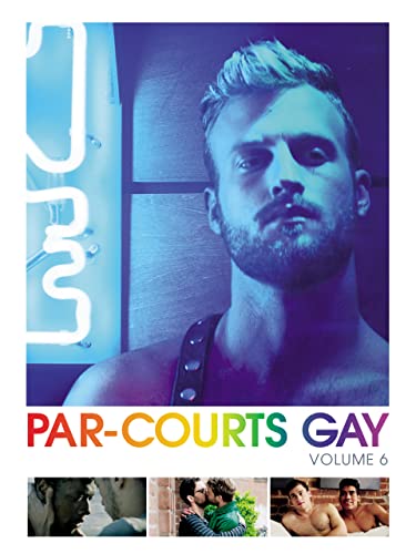 Par-Courts Gay - Vol 6