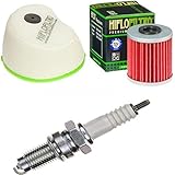 Filtro de aire Hiflo HFF2015 Aire filtrado óptimo para una potencia duradera del motor.