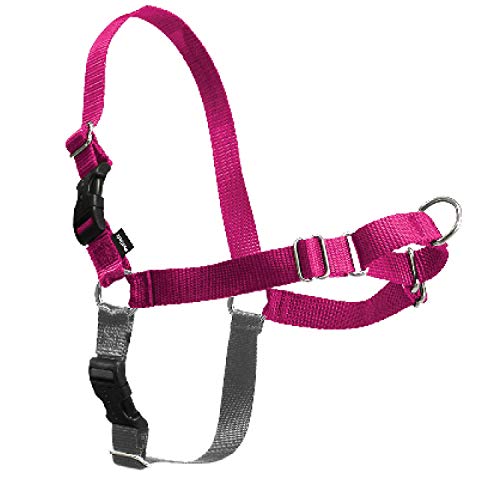 PetSafe Easy Walk-Geschirr, Anti-Zieh-Hundegeschirr, Verringert Würgen und Husten, Mit 1,8 M Leine, Größe L, Rosa