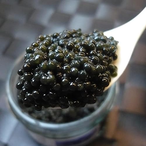 �����v�t�B�b�V�� �L���r�A 600g (50g×12��) �h�C�c�Y�ELF�L���r�A�y12�z�E