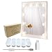 ROYFACC Vanity Mirror Light Kit for Makeup Hollywood Style with 10 LED Mirror Lights Bulbs, Brightness Dimmable, US Plug, Mirror Not Include