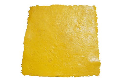 Walttools 3 x 3 ft Seamless Concrete Stamp Texturing Skin Single - Concrete, Cement, Overlay (Colorado Sandstone)