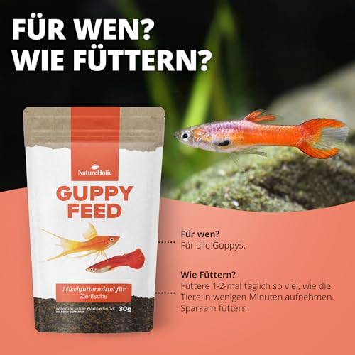 NatureHolic Guppyfutter feines Softgranulat I Fischfutter Aquarium | Hauptfutter I Gesundheit und Farbenpracht I schonende Herstellung I Made in Germany I 30g