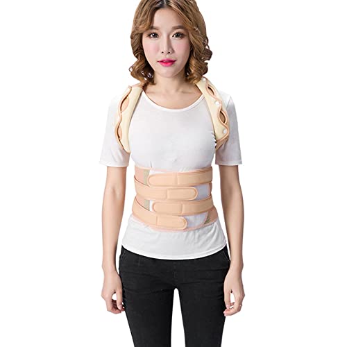 w؋xg pT|[^[ Lwxg LwT|[^[  wؕ␳xg LwP   w؋xg LwT|[^[ ߉ p jpxg (XS, F)