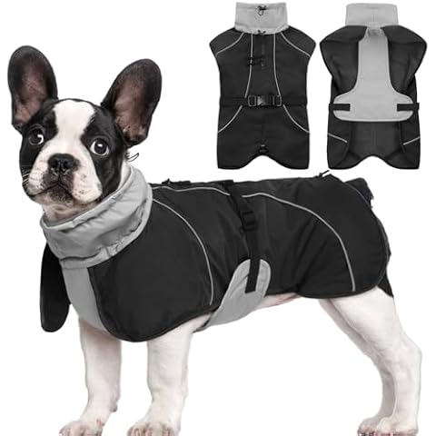 Hjyokuso Waterproof Dog Coat for Medium Dogs Cover