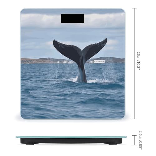 Báscula digital de baño Whale Tail con pantalla LCD miniatura 2