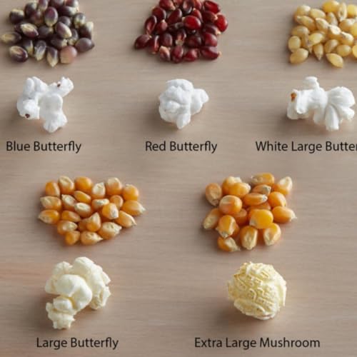 349: We're Gonna Do Some Popcorn Science Here