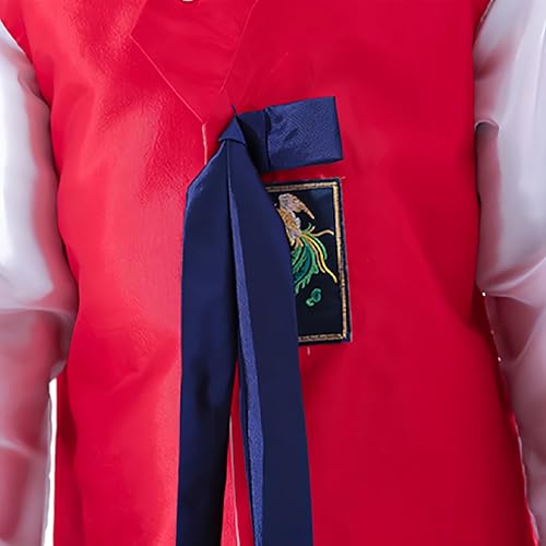 Disfraz completo tradicional Dolbok coreano para niños miniatura 5