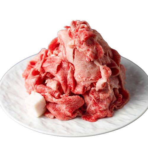 訳あり 飛騨牛 切落し 700g 切り落とし 部位お任せ 肉 牛肉 お肉 和牛 冷凍 岐阜県 等級 お任せ 炒め物 牛丼 国産 不揃い ブランド牛 11000円 [S541]