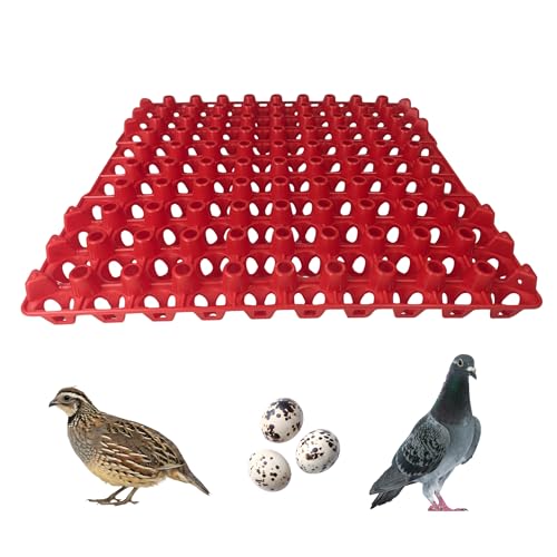 Hen's Choice 90 Egg Plastic Trays for Quail, Pigeon, Dove, Birds. Incubator Flat Carton (Red, 6 Pack)