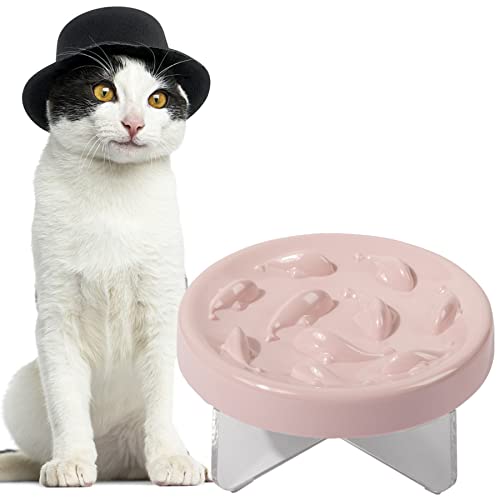 Cilkus Slow Feeder Cat Bowls