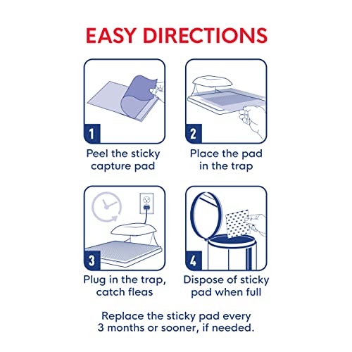 Enoz Trap-N-Kill Flea Trap - (Pack Of 3) - Traps And Kills Fleas - Light Bulb And Sticky Pad Design - Safe And Effective - Reusable Flea Trap #TOP3