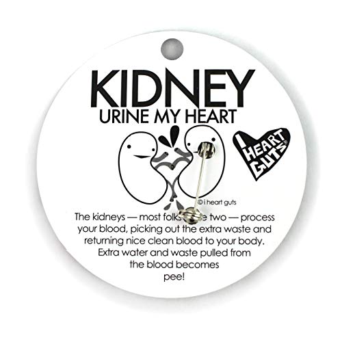 I Heart Guts Kidney Enamel Pin – Kidney Surgery Recovery, Renal Health Awareness, Dialysis & Transplant Support, Nephrologist Gift, CKD Awareness, Kidney Disease Fighter, Get Well Present4