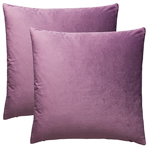 BOHORIA® Juego de 2 fundas de cojín de terciopelo decorativas para sofá, cojín lumbar (50 x 50 cm), color morado Cover