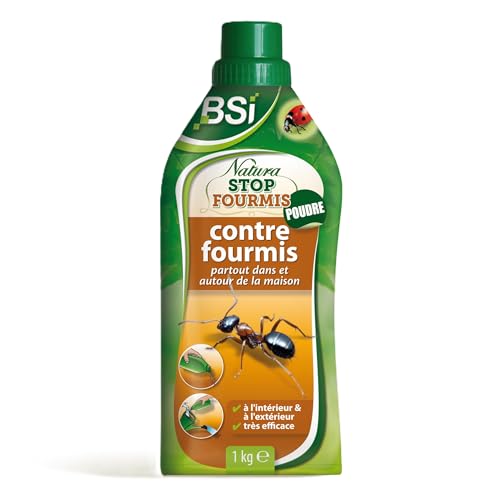 BSI - Anti-Fourmis - Terre De Diatomée - Poudre - Efficace A l'Extérieur Et Aux Abords De La Maison - Effet Immédiat - Longue Durée - 1kg
