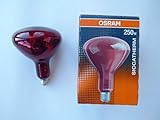 Osram