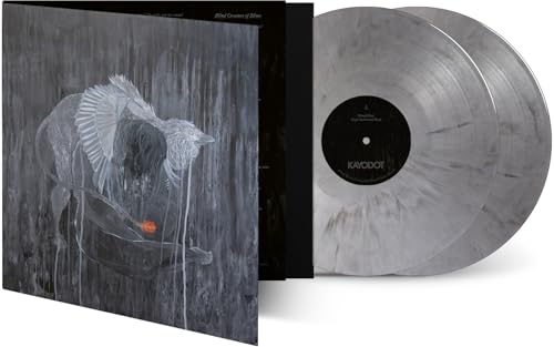 Every Rock, Every Half-Truth Under Reason - Vinyl release thumbnail
