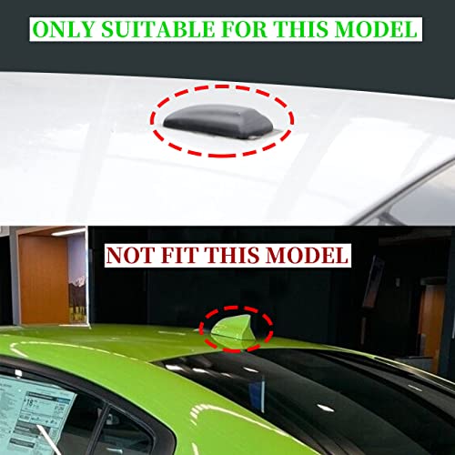 Antena de techo de fibra de carbono Dodge Challenger 2009 2015 2018 2022 accesorio 2