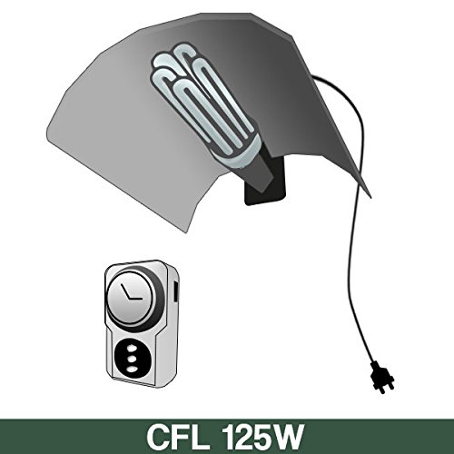 Kit CFL Agro 125W + Omaggio