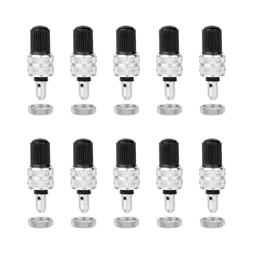 AIRTILY 10 Conjuntos De Componentes De La Válvula, Piezas De Repuesto De Neumáticos, Válvulas Selladas, Accesorios De Neumáticos para Bicicletas.