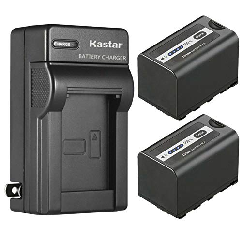 Kastar 2-Pack Battery and AC Wall Charger Replacement for Panasonic Lumix BGH1 Cinema 4K Box Camera, AG-CX10, AG-CX350, AG-DVX200, AG-DVX200PJ, AG-DVX200PB, AG-DVX200PX, AG-DVX200EJ, AG-DVX200EN