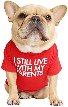 French Bulldog Dog Shirt for Pet Clothes Puppy T-Shirts Cat Tee Breathable Stretchy Costumes Medium