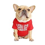 French Bulldog Dog Shirt for Pet Clothes Puppy T-Shirts Cat Tee Breathable Stretchy Costumes Medium
