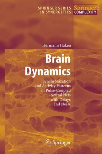 Amazon.com: Brain Dynamics: Synchronization and Activity Patterns in ...