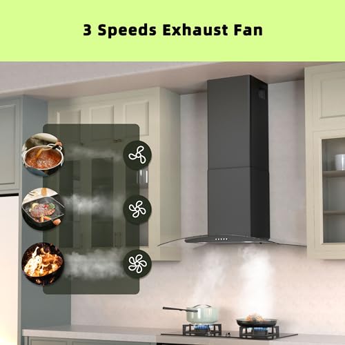 FIREGAS Wall Mount Range Hood 30 inch with 3 Speed Fan,black range hood with tempered glass,400CFM,Push Button Controls, LED Lighting, Permanent Filters in Stainless Steel,includes 2 Charcoal Filters