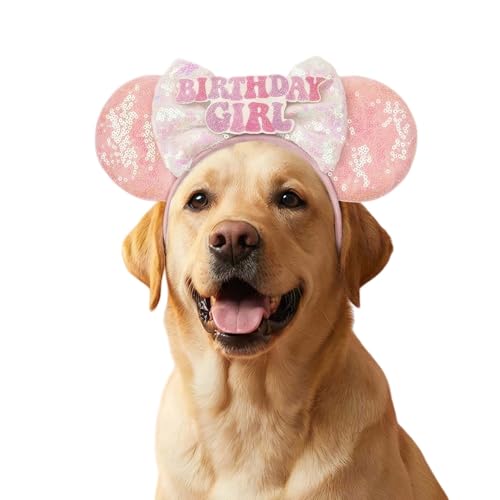 Disfraz de cumpleaños para perro orejas de ratón rosa grande