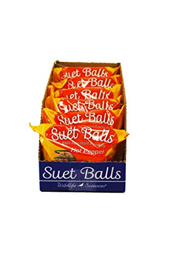 Wildlife Sciences Suet Balls 24 Pack 6 Individually Wrapped Packs of 4 Bird Suet Balls (Hot Pepper Blend)
